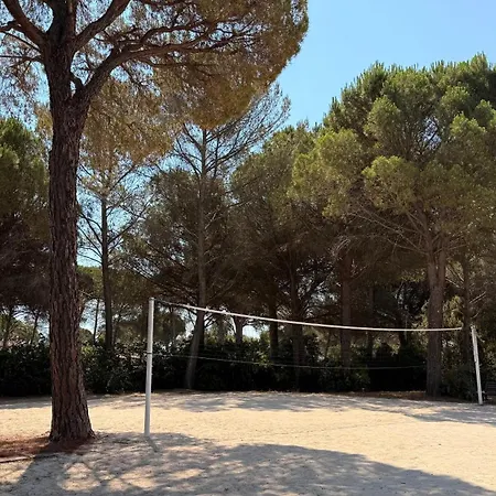 公寓 F1 Climatise Avec Piscine